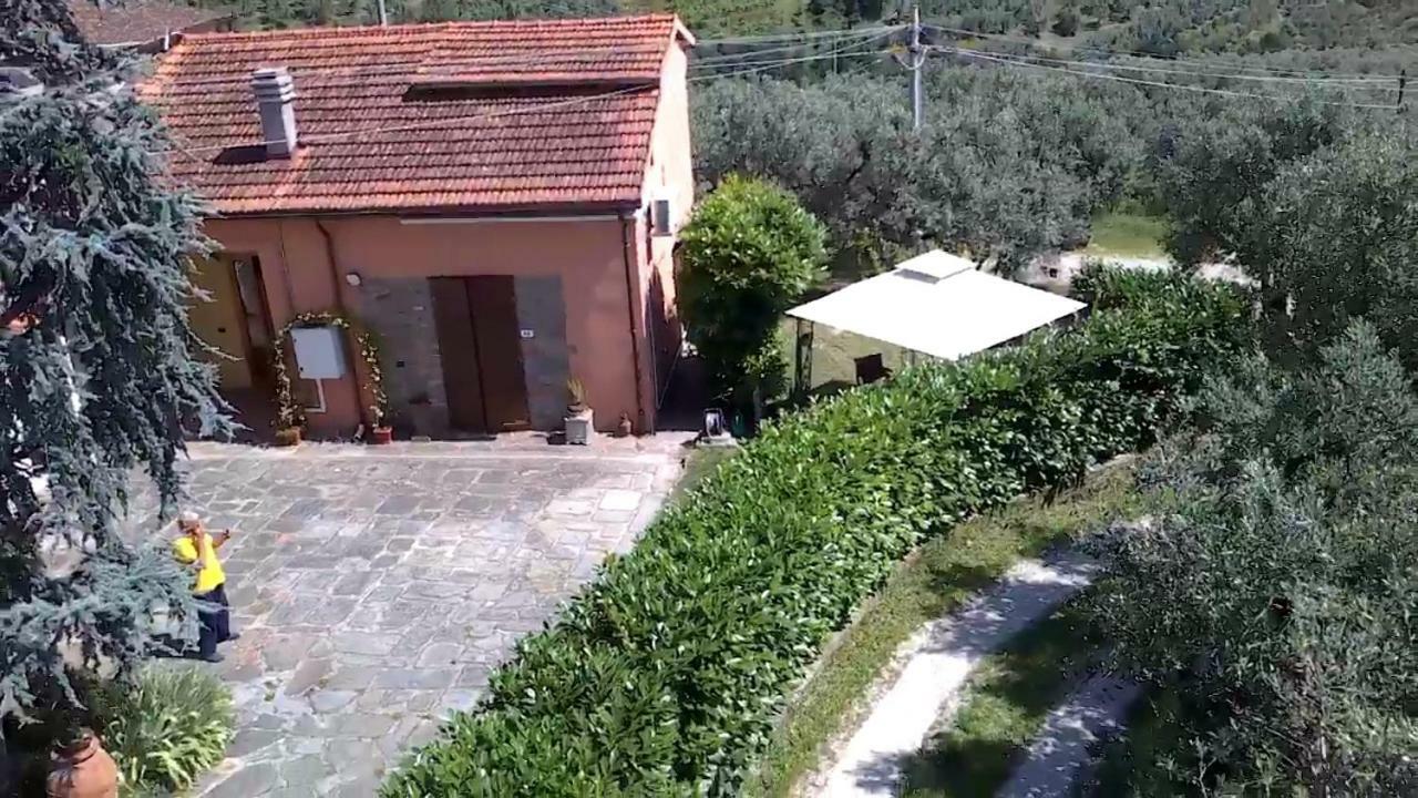 Апартаменты Il Borgo Dei Pini Винчи Экстерьер фото