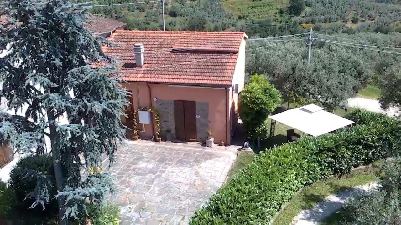 Апартаменты Il Borgo Dei Pini Винчи Экстерьер фото